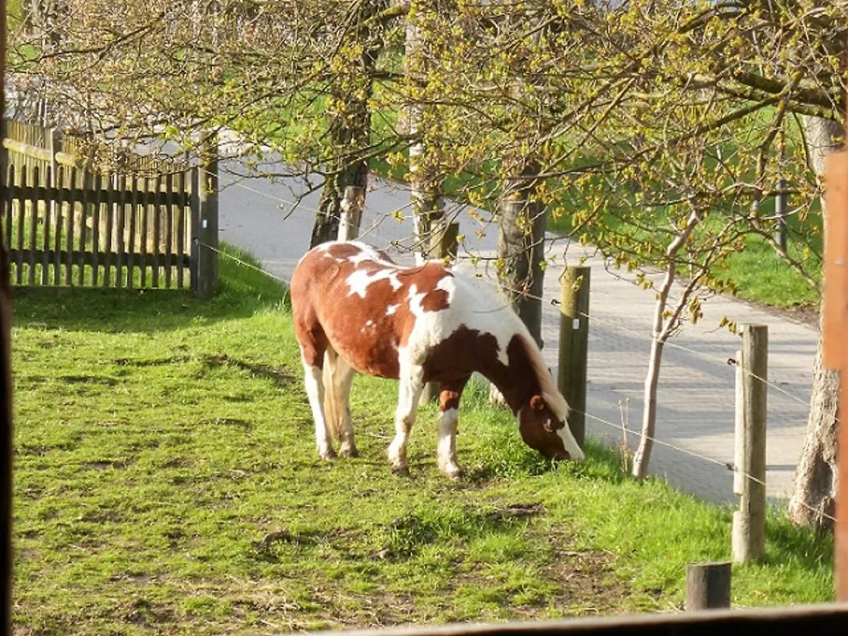 Ferienhof Wolfrum Berg